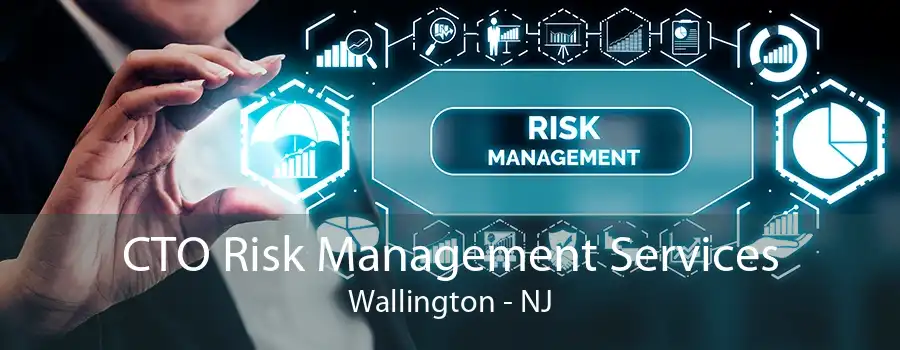 CTO Risk Management Services Wallington - NJ