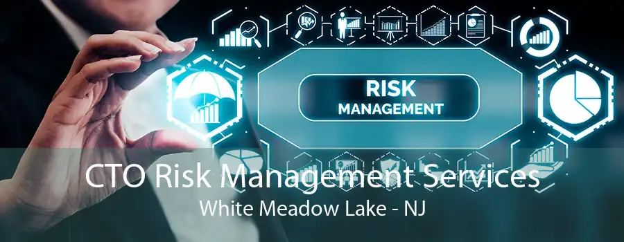 CTO Risk Management Services White Meadow Lake - NJ