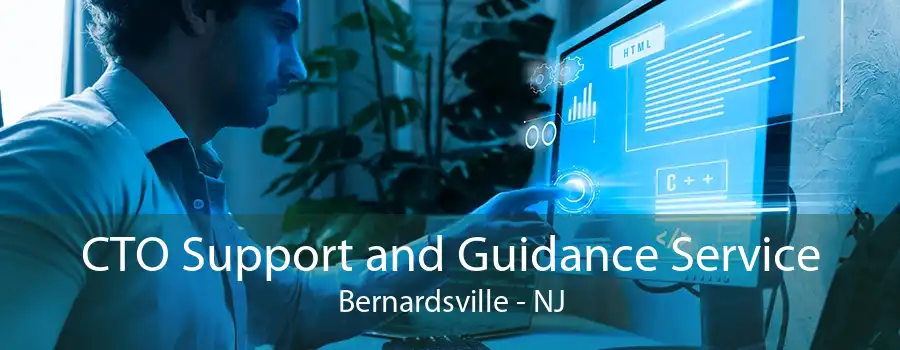 CTO Support and Guidance Service Bernardsville - NJ