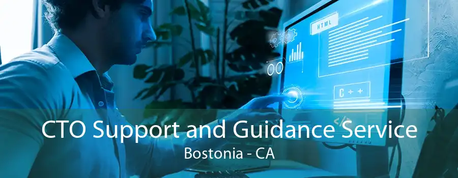 CTO Support and Guidance Service Bostonia - CA