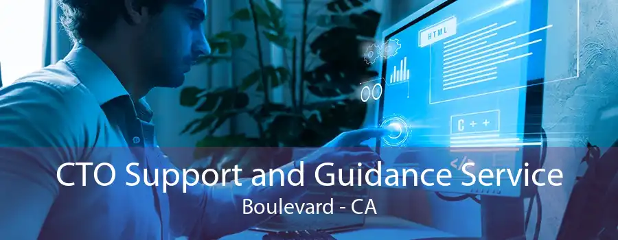 CTO Support and Guidance Service Boulevard - CA