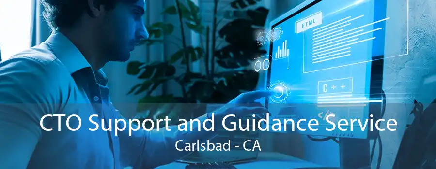 CTO Support and Guidance Service Carlsbad - CA