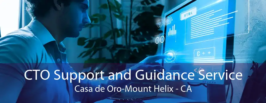 CTO Support and Guidance Service Casa de Oro-Mount Helix - CA