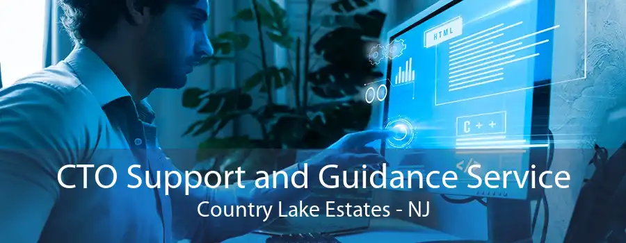 CTO Support and Guidance Service Country Lake Estates - NJ