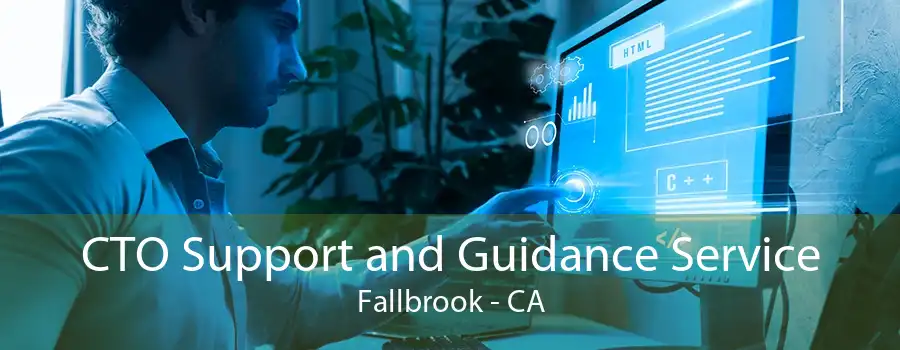 CTO Support and Guidance Service Fallbrook - CA