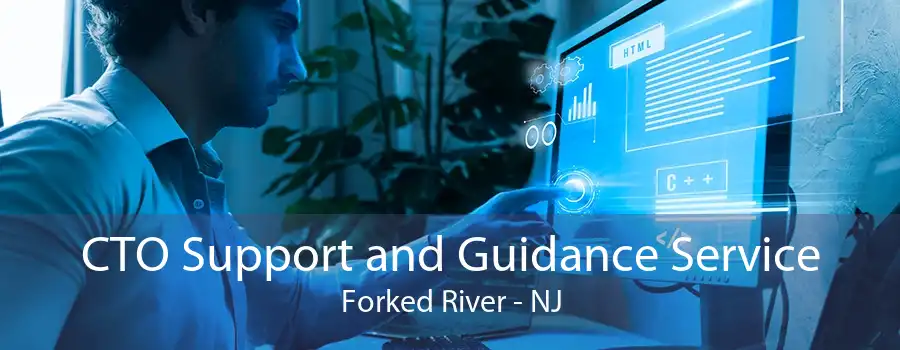 CTO Support and Guidance Service Forked River - NJ