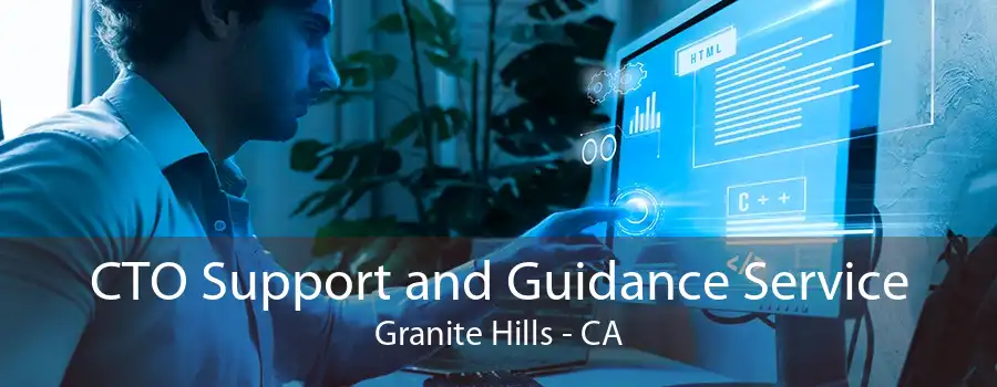 CTO Support and Guidance Service Granite Hills - CA