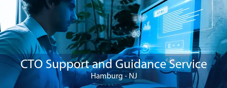 CTO Support and Guidance Service Hamburg - NJ