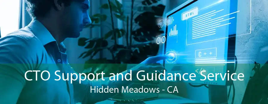 CTO Support and Guidance Service Hidden Meadows - CA