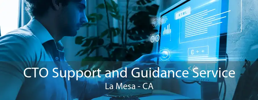 CTO Support and Guidance Service La Mesa - CA