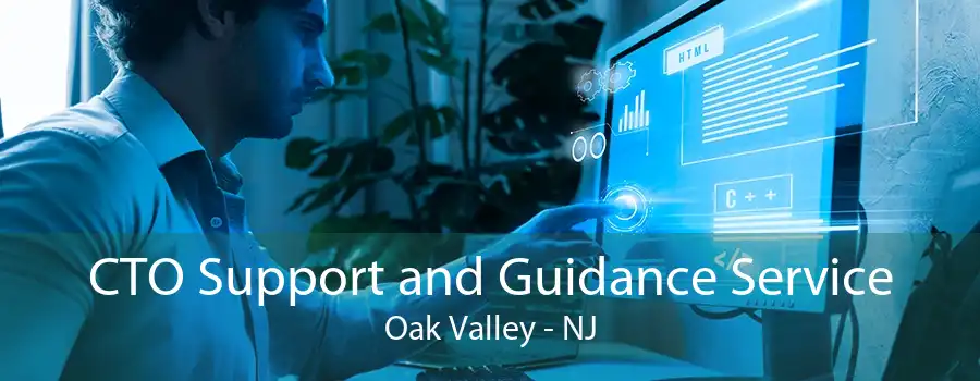 CTO Support and Guidance Service Oak Valley - NJ