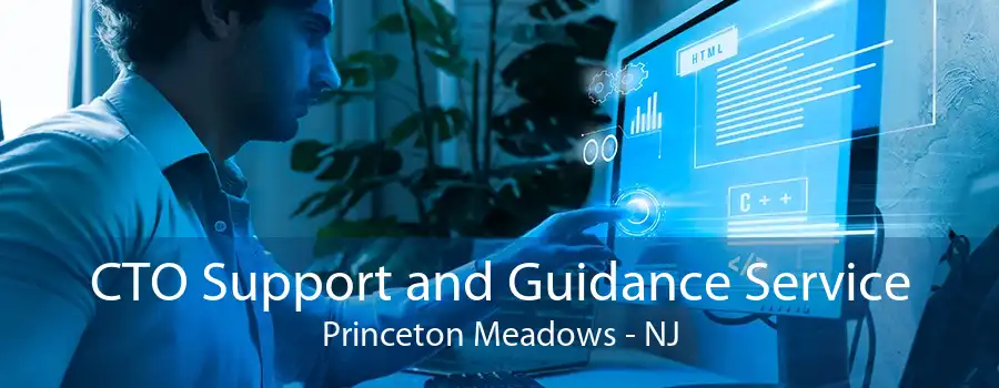 CTO Support and Guidance Service Princeton Meadows - NJ