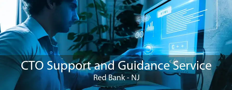 CTO Support and Guidance Service Red Bank - NJ