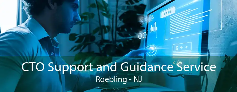 CTO Support and Guidance Service Roebling - NJ