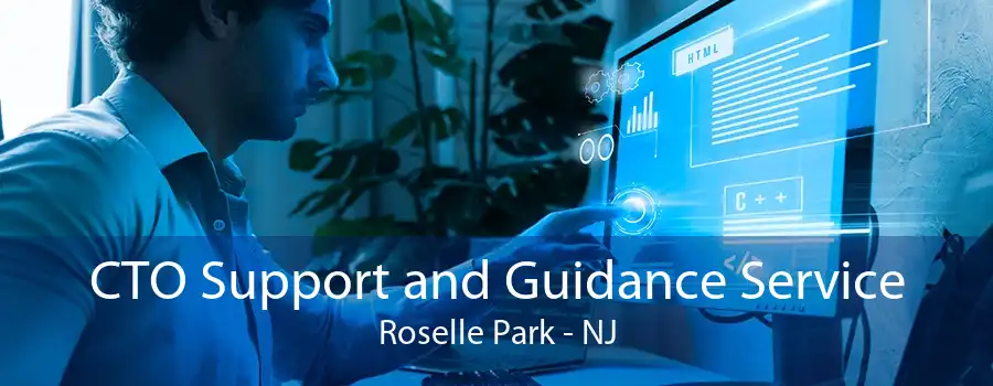 CTO Support and Guidance Service Roselle Park - NJ