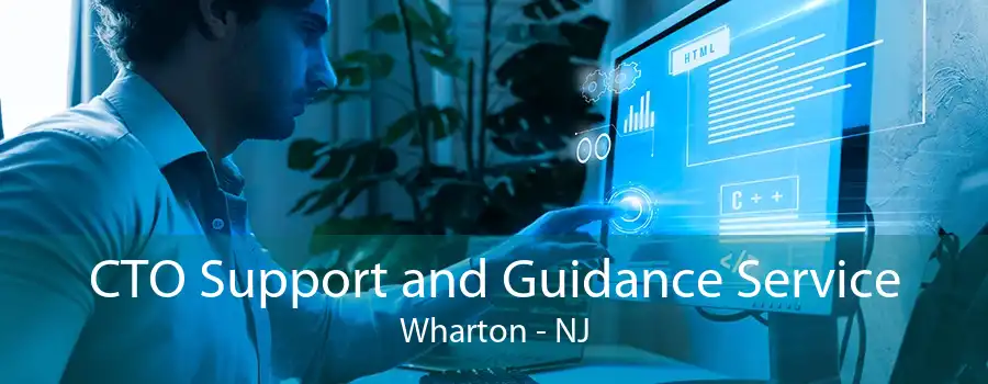 CTO Support and Guidance Service Wharton - NJ