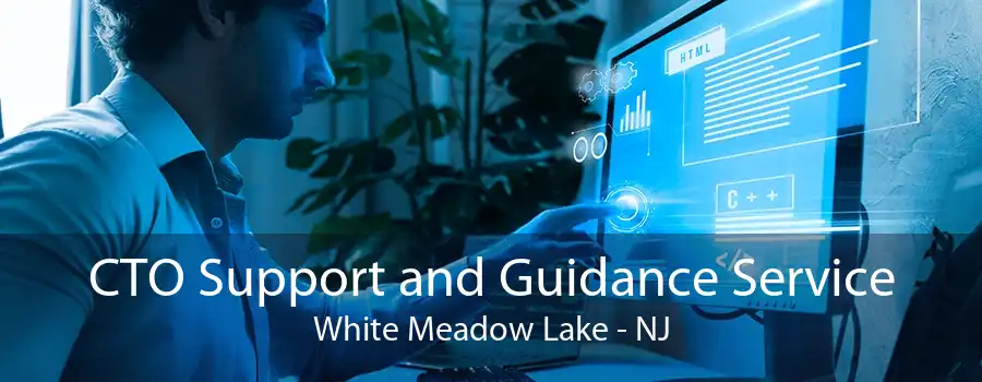 CTO Support and Guidance Service White Meadow Lake - NJ