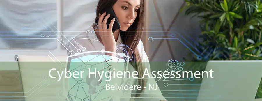 Cyber Hygiene Assessment Belvidere - NJ