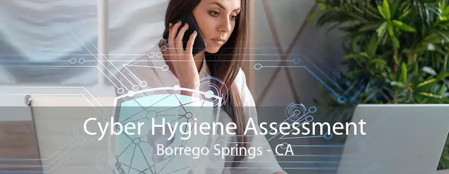 Cyber Hygiene Assessment Borrego Springs - CA