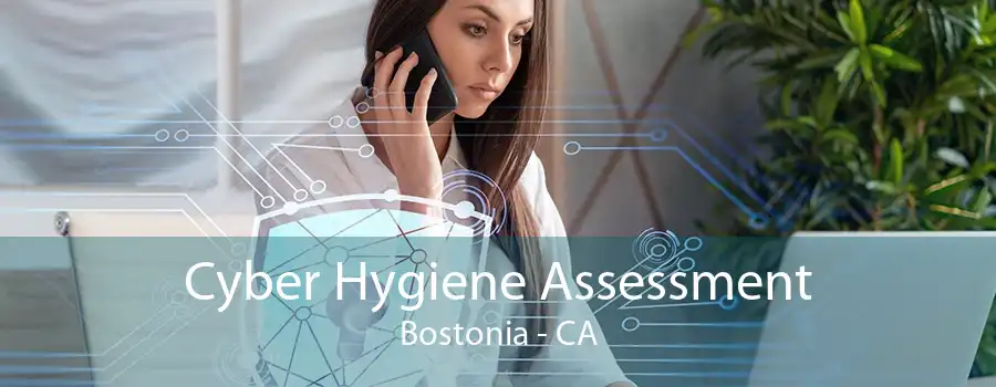 Cyber Hygiene Assessment Bostonia - CA