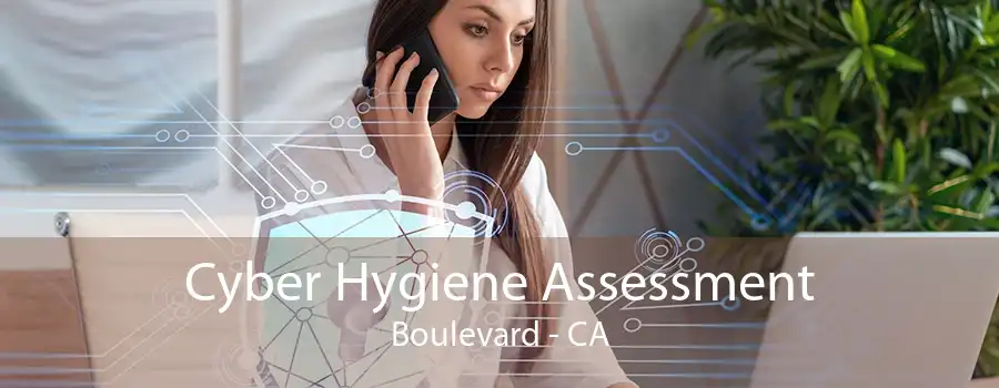 Cyber Hygiene Assessment Boulevard - CA