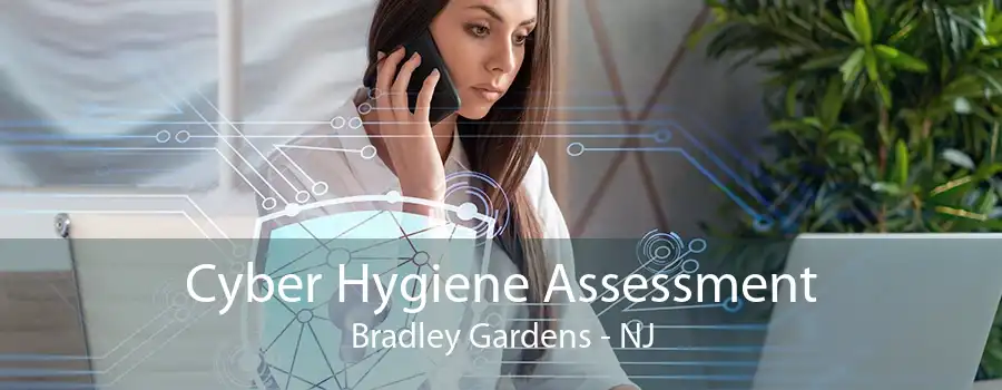 Cyber Hygiene Assessment Bradley Gardens - NJ