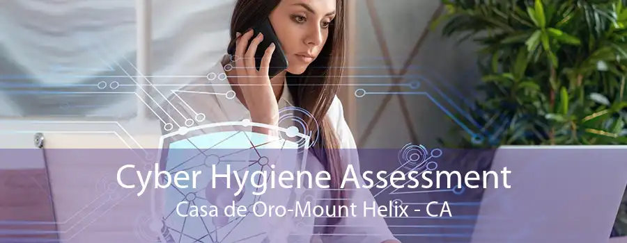 Cyber Hygiene Assessment Casa de Oro-Mount Helix - CA