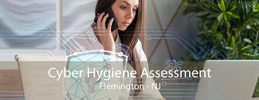 Cyber Hygiene Assessment Flemington - NJ