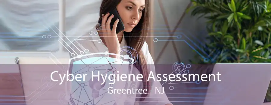 Cyber Hygiene Assessment Greentree - NJ