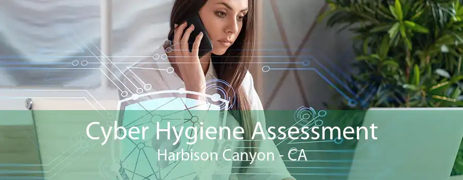 Cyber Hygiene Assessment Harbison Canyon - CA