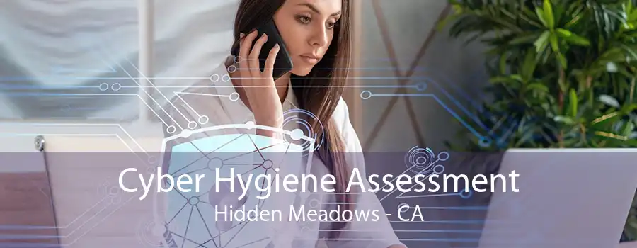 Cyber Hygiene Assessment Hidden Meadows - CA