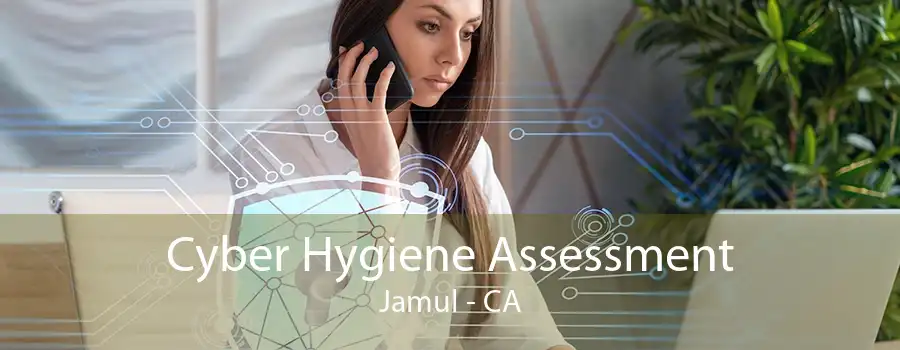 Cyber Hygiene Assessment Jamul - CA