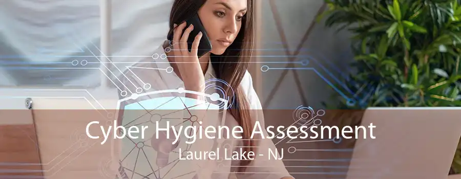 Cyber Hygiene Assessment Laurel Lake - NJ