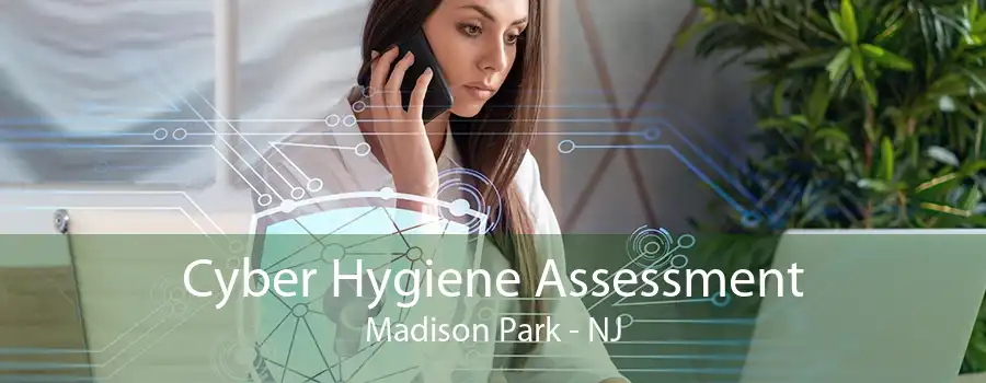 Cyber Hygiene Assessment Madison Park - NJ