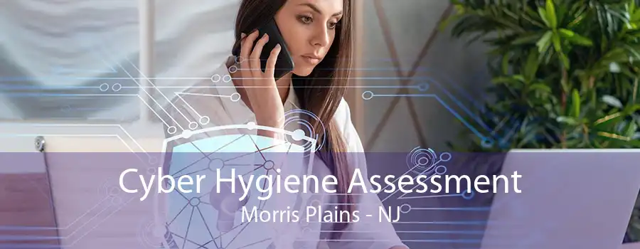 Cyber Hygiene Assessment Morris Plains - NJ