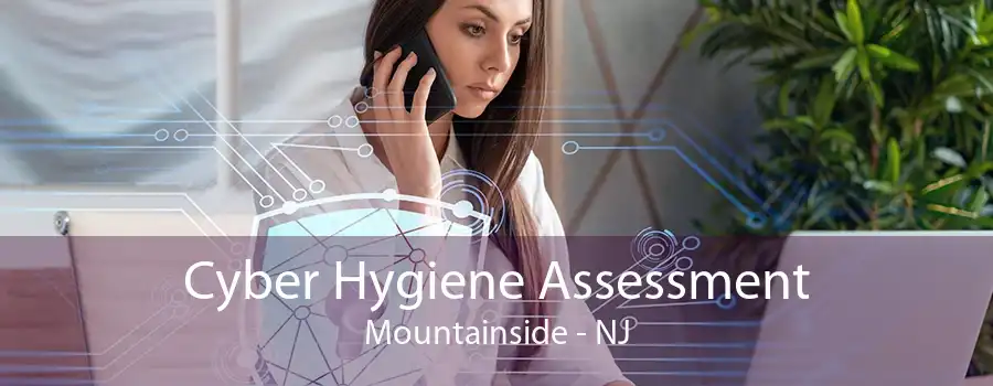 Cyber Hygiene Assessment Mountainside - NJ