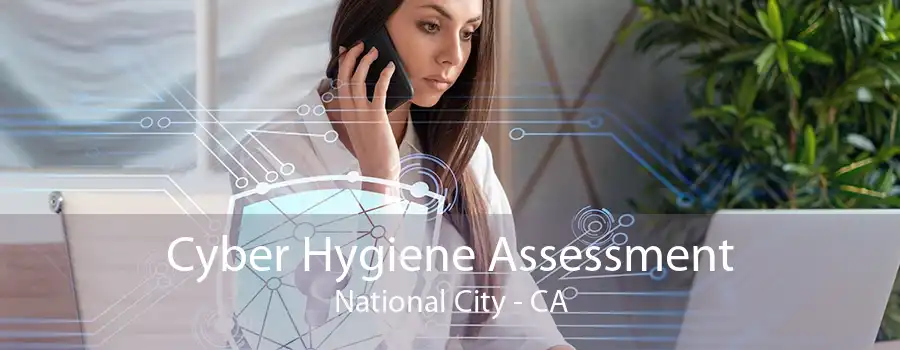 Cyber Hygiene Assessment National City - CA