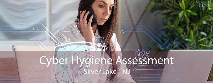 Cyber Hygiene Assessment Silver Lake - NJ