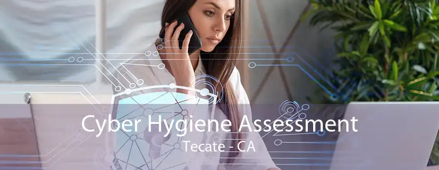 Cyber Hygiene Assessment Tecate - CA