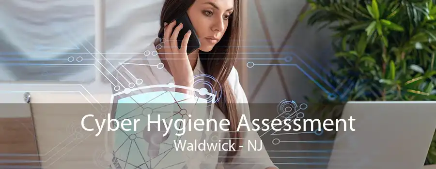 Cyber Hygiene Assessment Waldwick - NJ