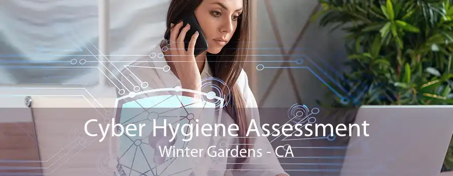 Cyber Hygiene Assessment Winter Gardens - CA