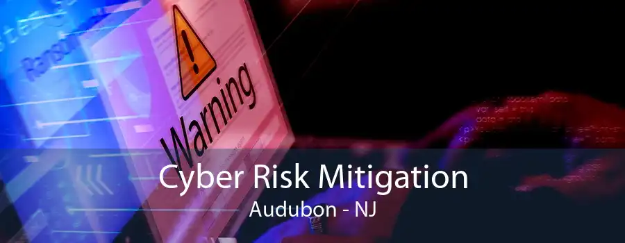 Cyber Risk Mitigation Audubon - NJ