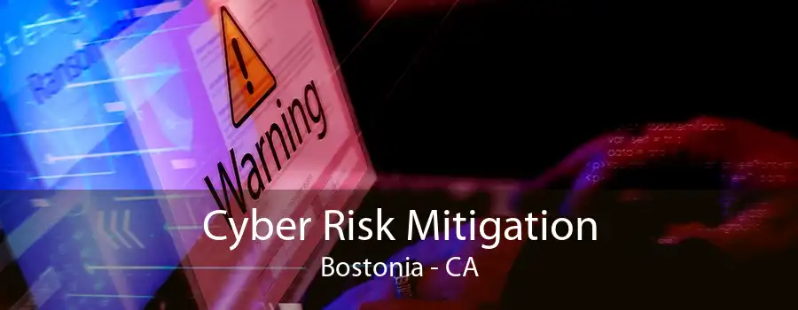 Cyber Risk Mitigation Bostonia - CA