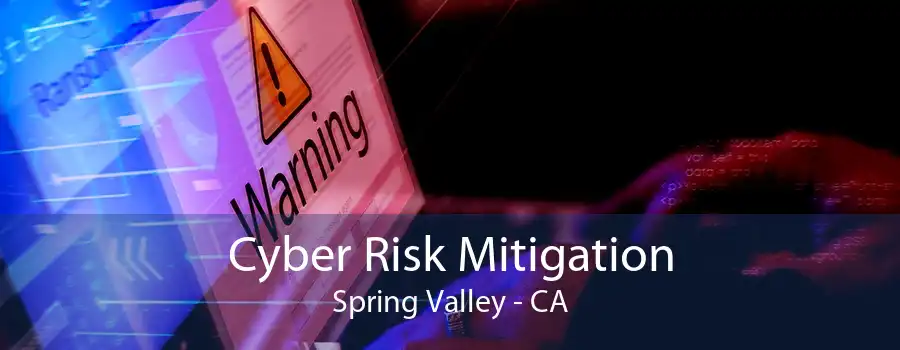 Cyber Risk Mitigation Spring Valley - CA