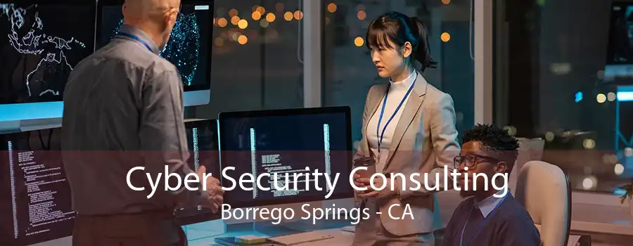 Cyber Security Consulting Borrego Springs - CA