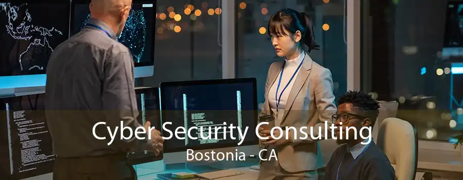 Cyber Security Consulting Bostonia - CA