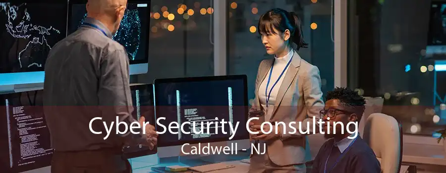 Cyber Security Consulting Caldwell - NJ