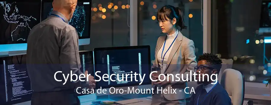 Cyber Security Consulting Casa de Oro-Mount Helix - CA