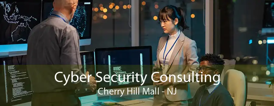 Cyber Security Consulting Cherry Hill Mall - NJ