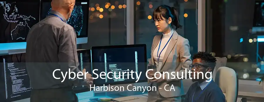 Cyber Security Consulting Harbison Canyon - CA